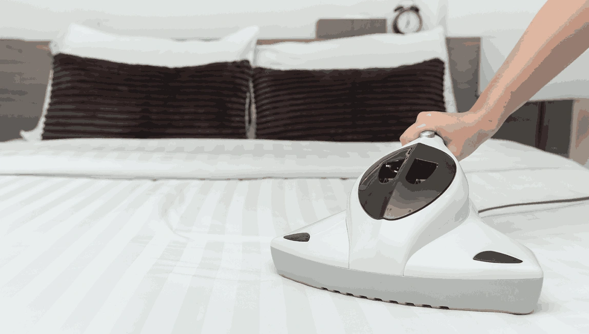 Professional Mattress Cleaning Breamlea